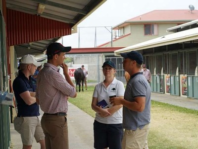 Bruce Slade of Kestrel Thoroughbreds On His Typical Buying T ... Image 5